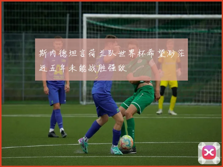 斯内德坦言荷兰队世界杯希望渺茫近五年未能战胜强敌